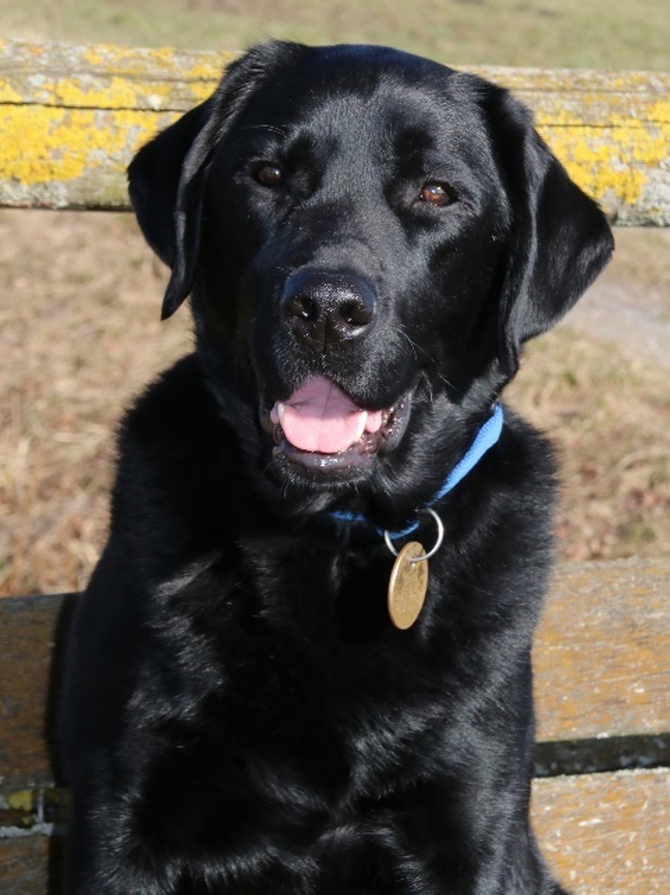 Giorgio