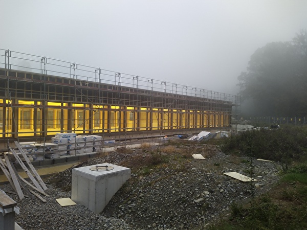 Turnhalle im Herbstnebel