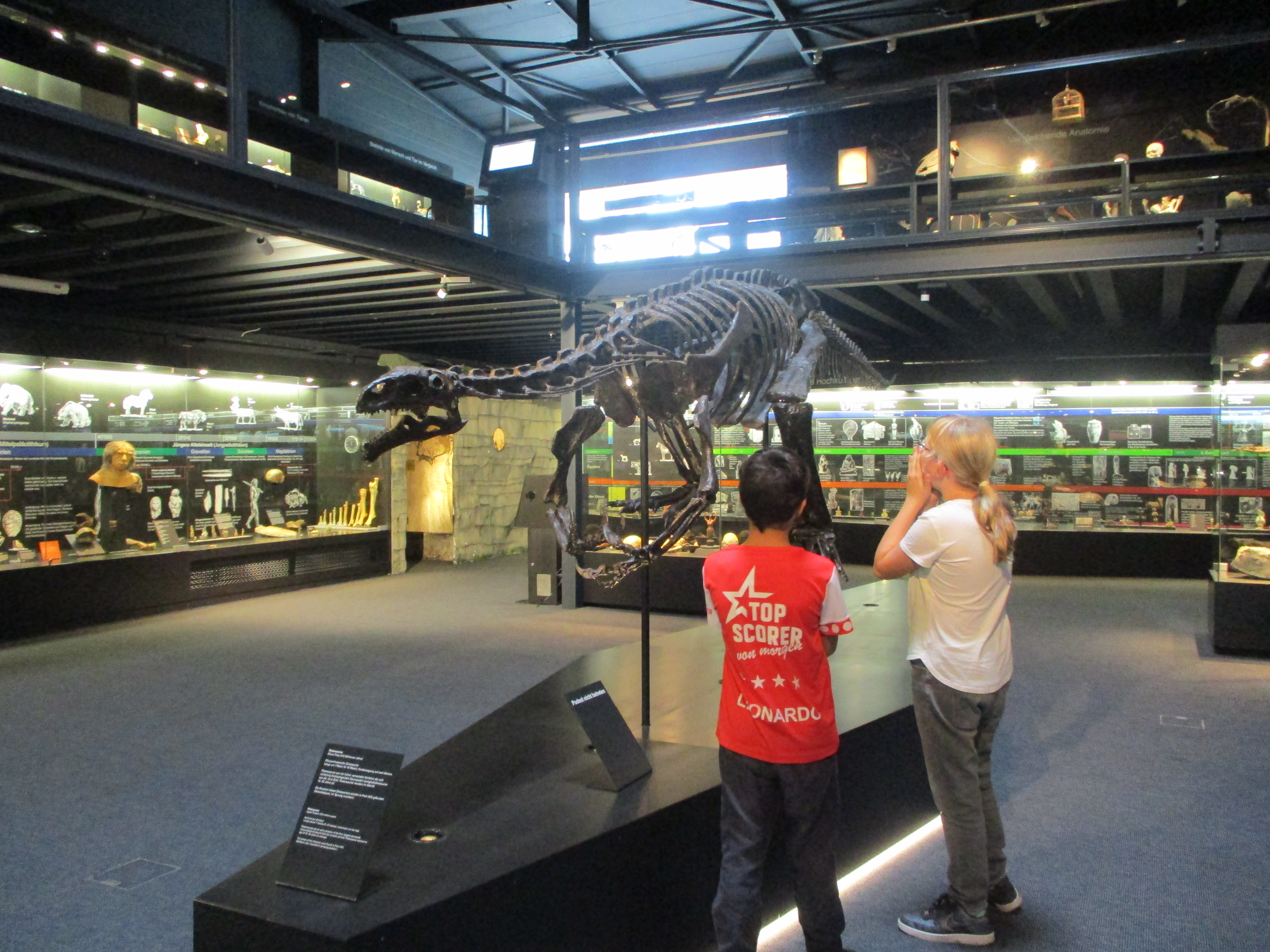 Zwei Kinder bestaunen das Dinosaurier-Skelett