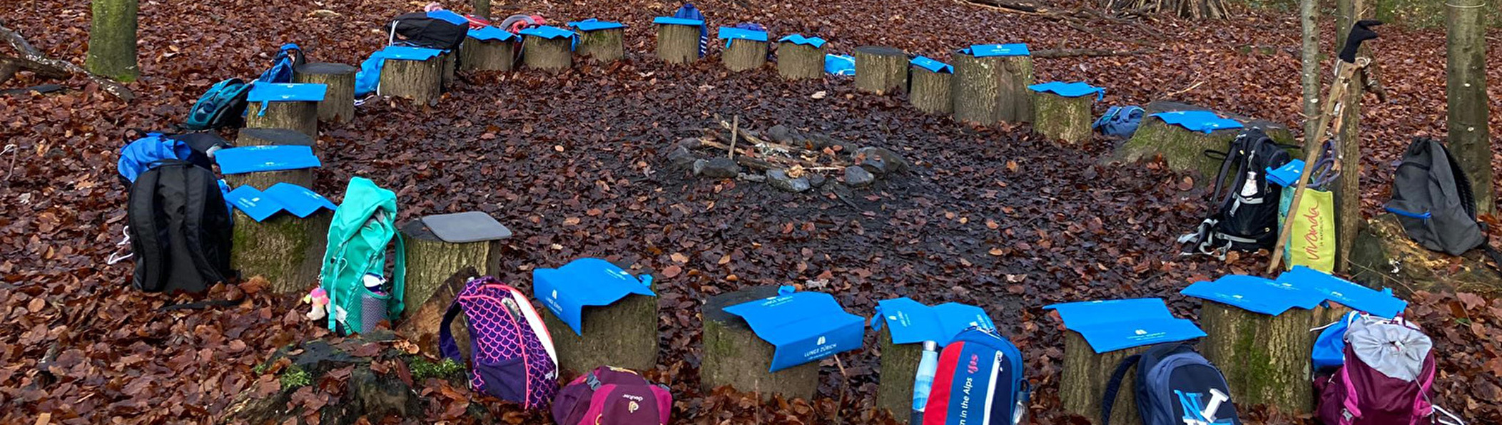 Schule im Wald mit Holzträmmel