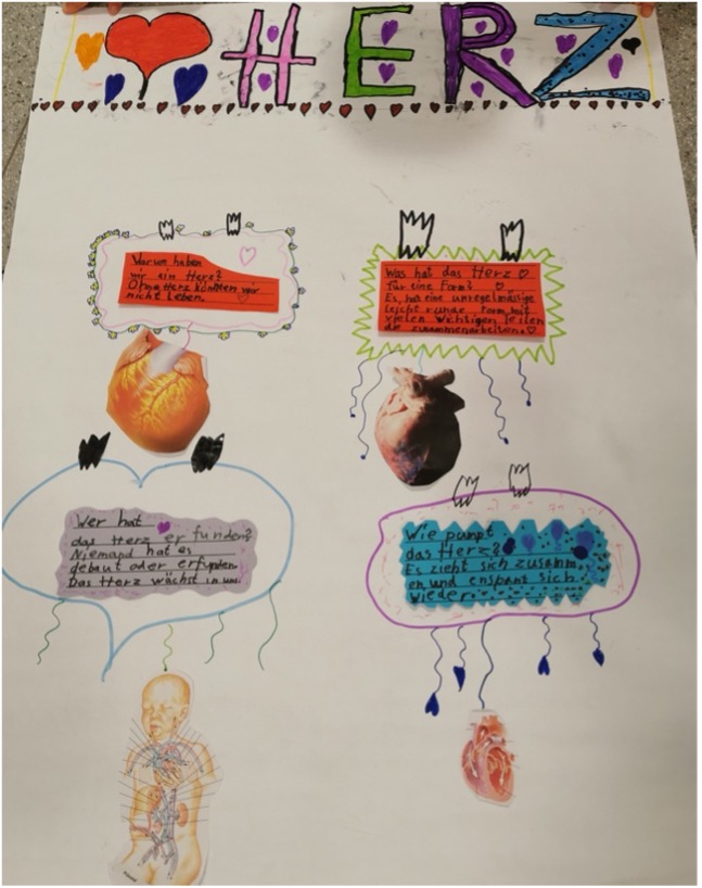 Projektarbeit Herz