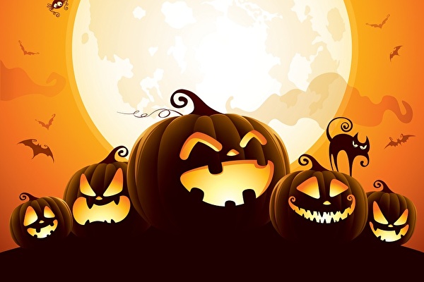 Bild einer Halloween Szene mit Kürbisköpfen