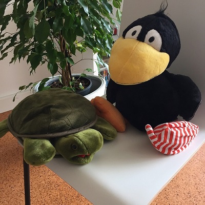 Schildkröte und Rabe