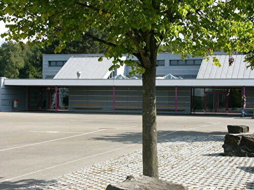 Das Schulhaus Gschwader steht am Stadtrand und hat einen schönen Ausblick auf Wiese und Waldrand.