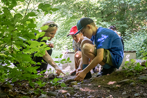 Schülerinnen und Schüler entdecken die Natur unter Anleitung einer Lehrperson