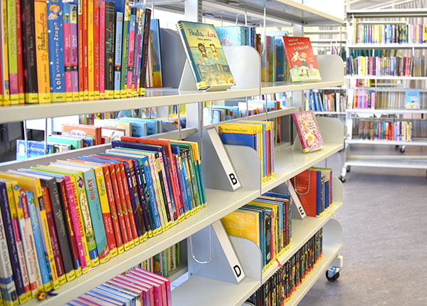 Viele Bücher in Regalen