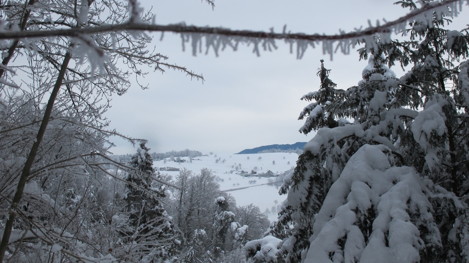Aussicht von der Baarburg