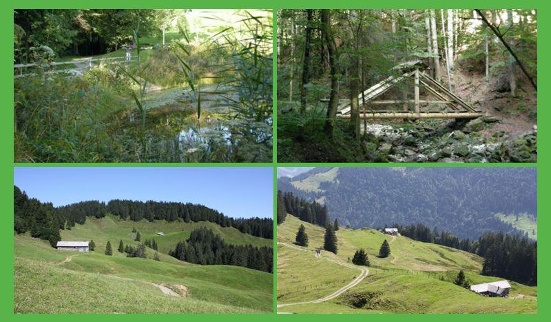 Erlebnispfad Eich, Alp Tüfental und Alp Färnli