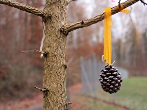 Weihnachtsbaum der Vögel