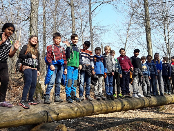 Kinder-Gruppefoto im Wald