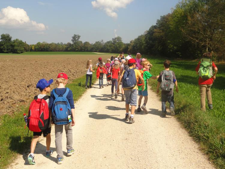 Zurück Richtung Olten