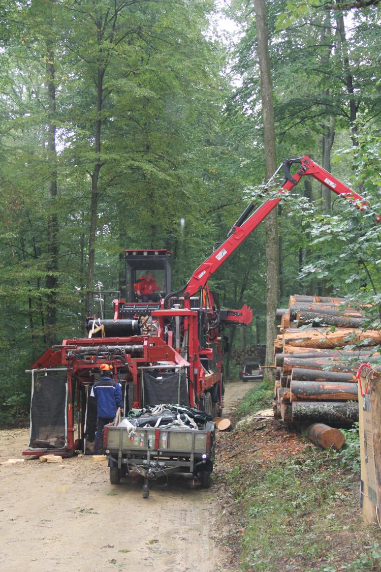 Auch eine grosse Maschine stand im Einsatz. Aus Baumstämmen fertigte sie kleine Holzscheite. Beeindruckend!