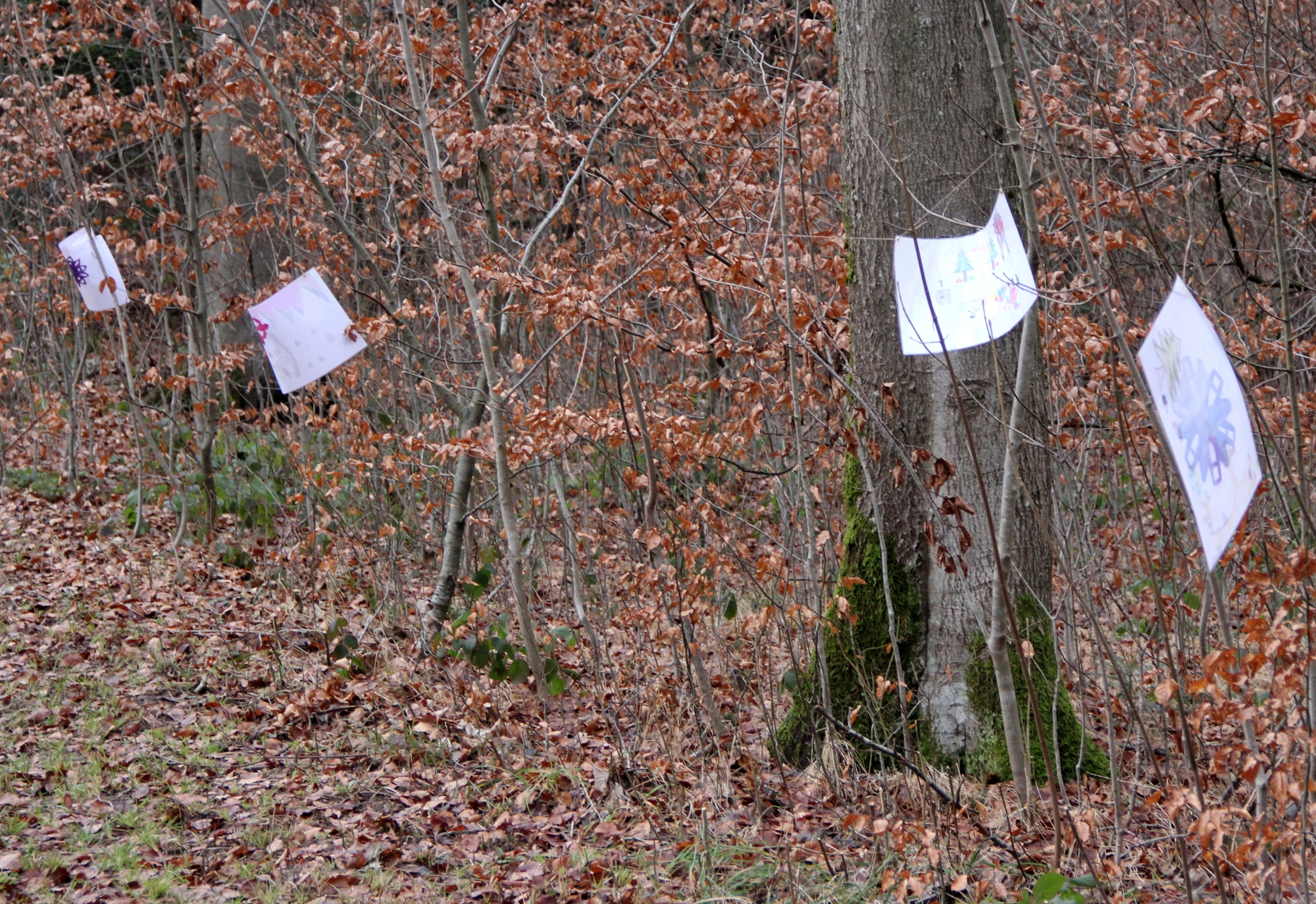 Klangweg zur Schatztruhe