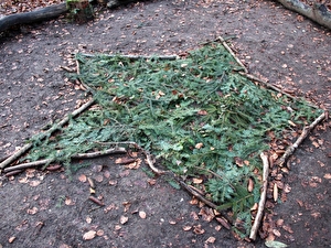Waldvögeli-Platz