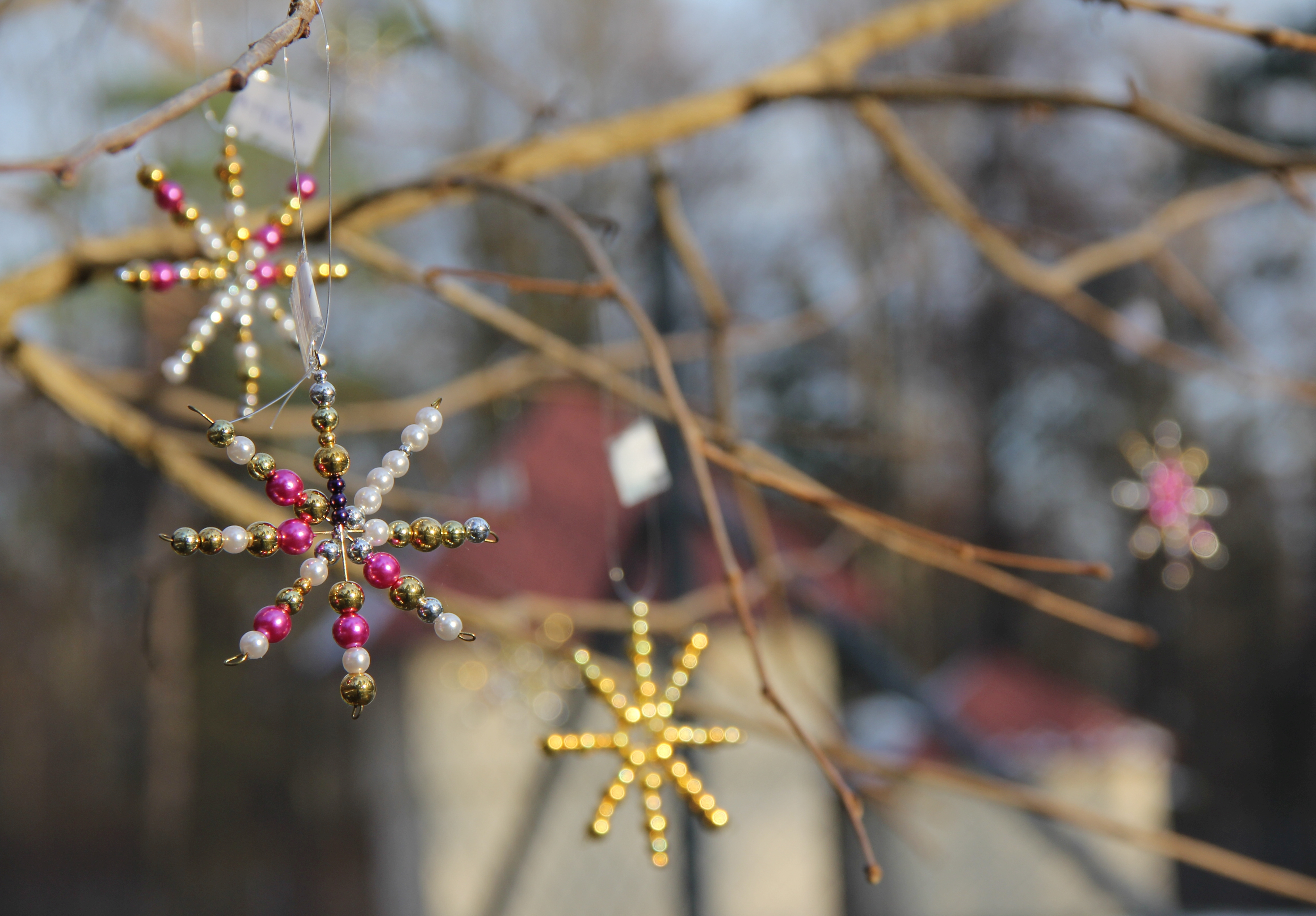 Weihnachtsstern, KiGa Bannfeld 2