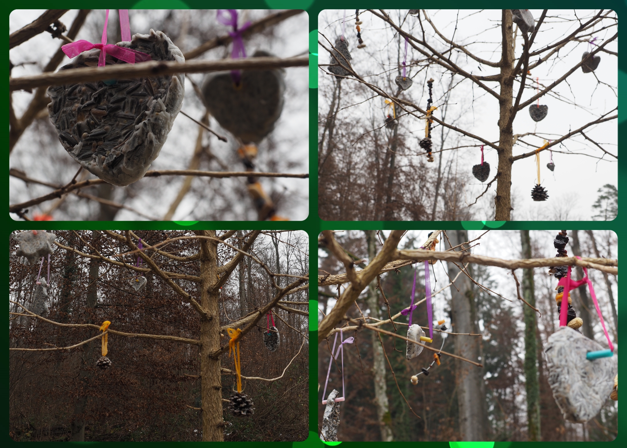 Weihnachtsbaum der Vögel