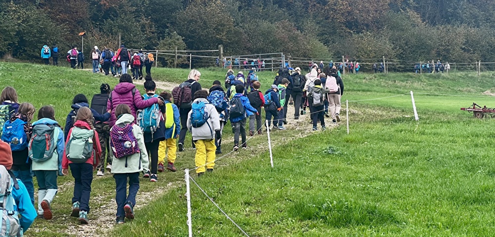 Kinder von hinten, wandern den Berg hoch