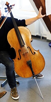Violoncello