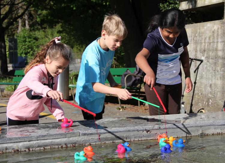 Wer fischt frische Fische?