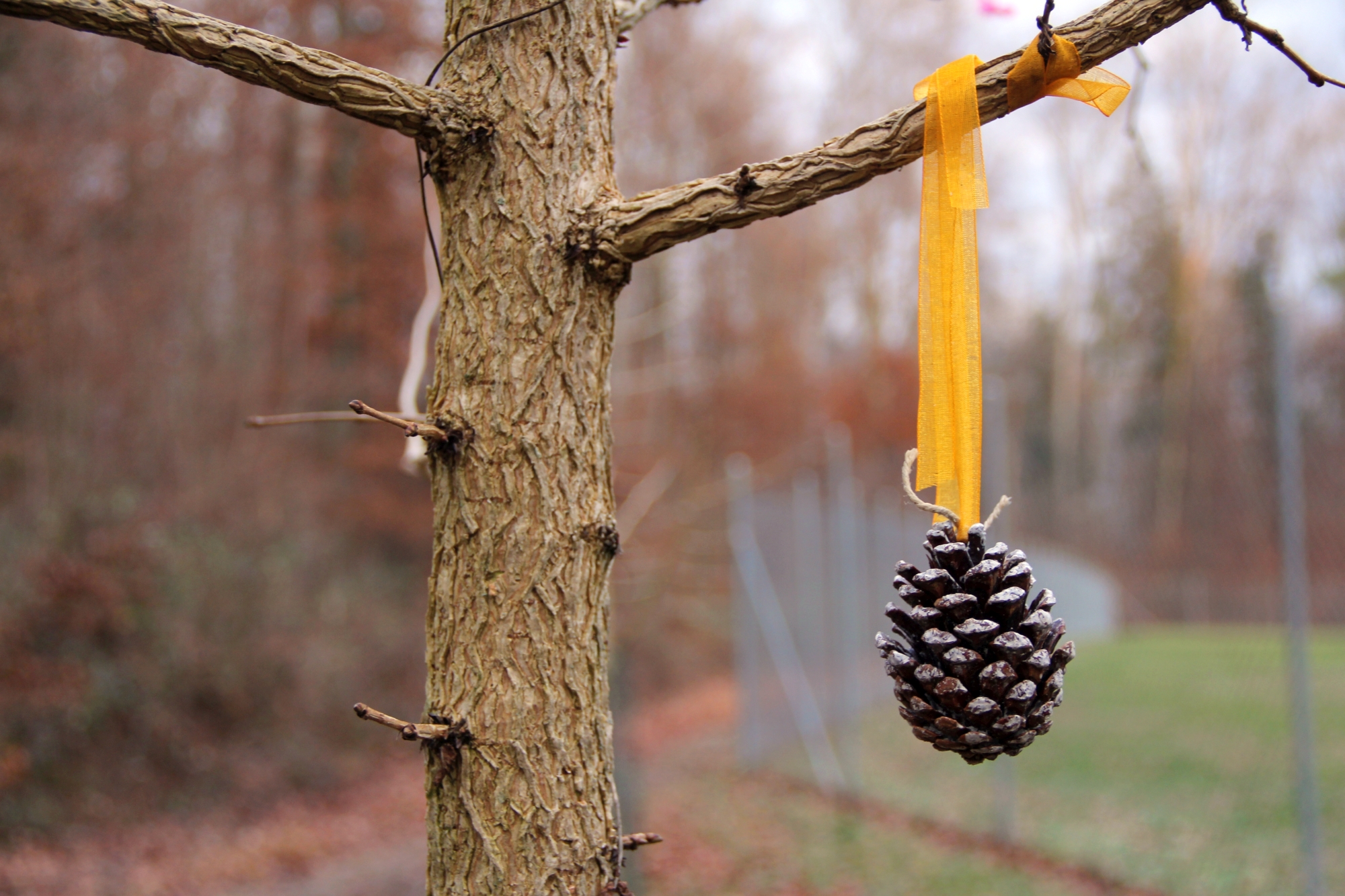 Weihnachtsbaum der Vögel