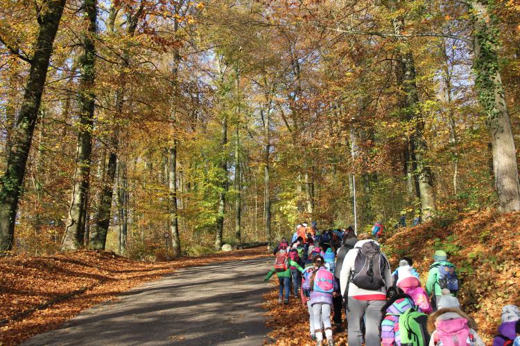 Auf ging es in den wunderschön bunten Wald.