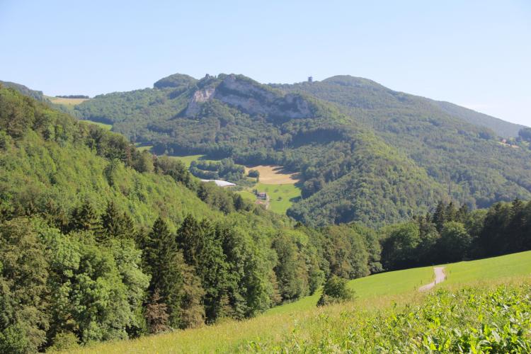 Dabei genossen wir noch den Blick hinüber in Richtung Frohburg.