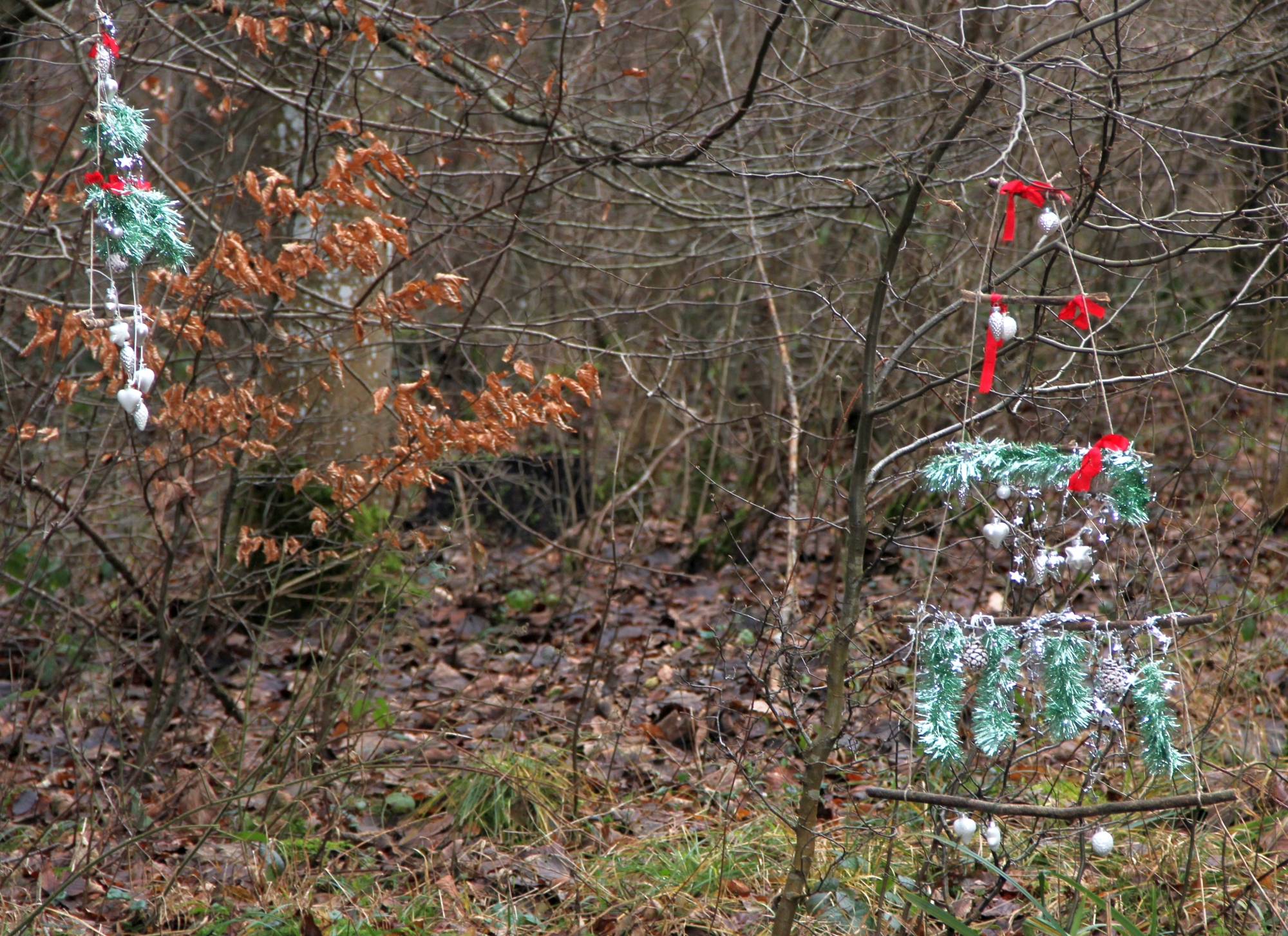 zauberhaft und farbenfroh