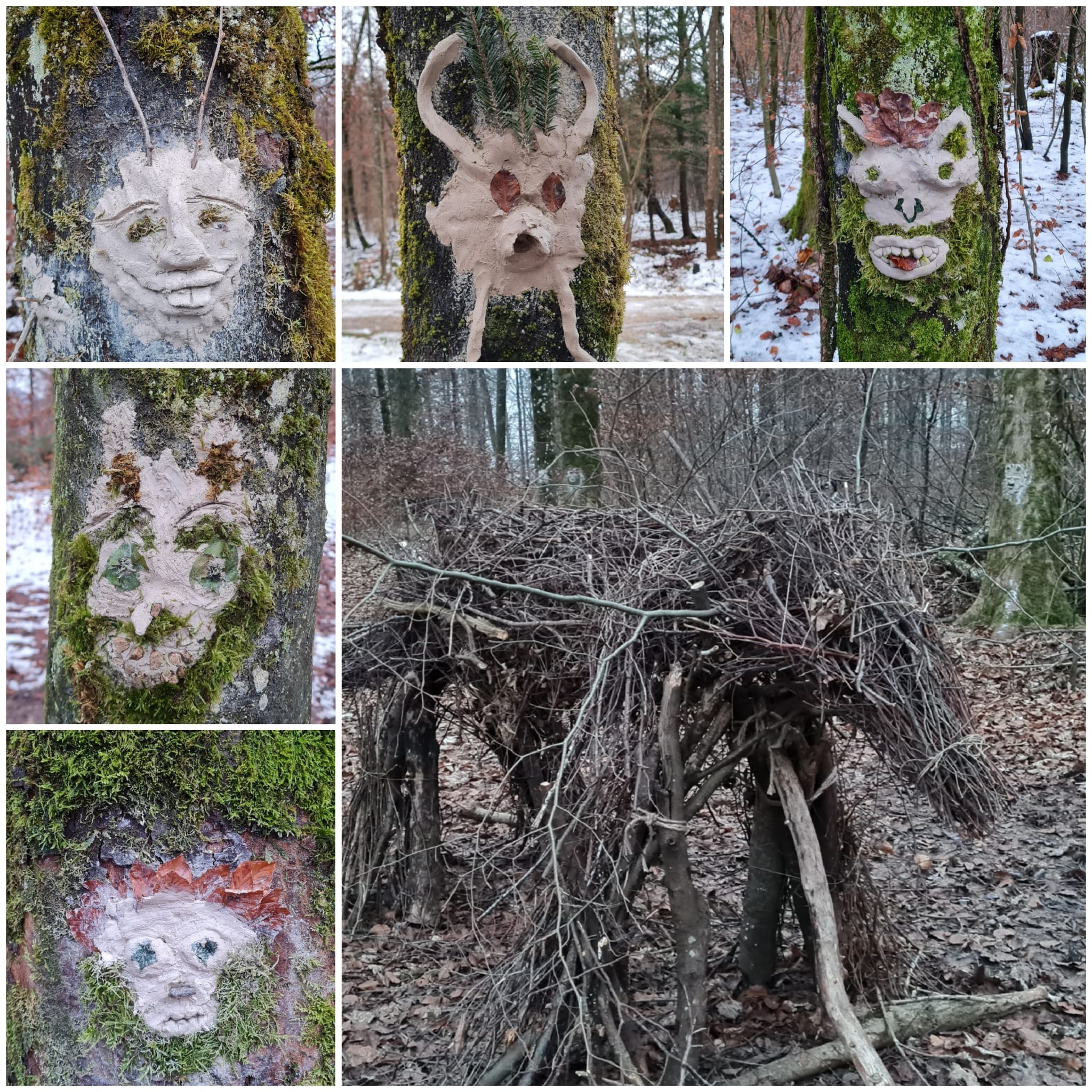 WaldbewohnerInnen