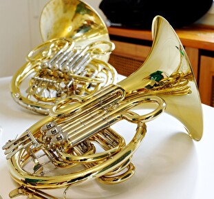 Horn / Waldhorn