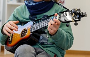 Ukulele