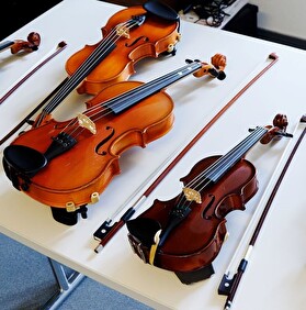 Violine beziehungsweise Geige