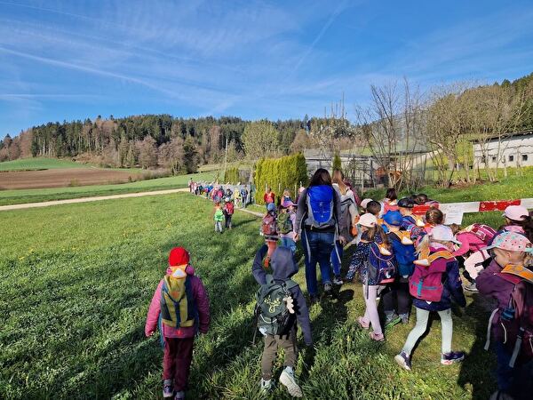 Frühlingswanderung Kindergarten