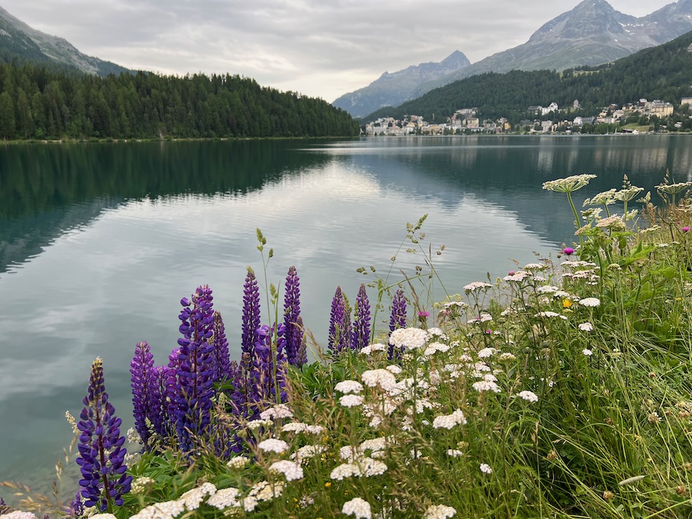 St. Moritzersee