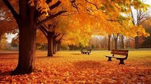 Herbst