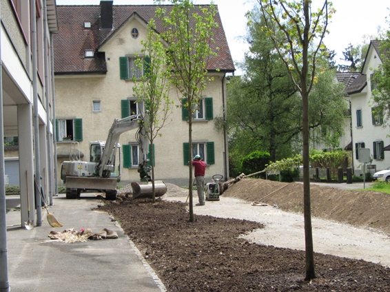 Neue Anlage hinter dem Neubau