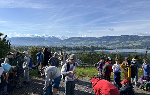 Pause mit Ausblick über den Zürichsee