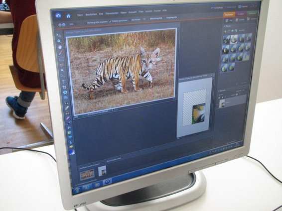 Nanu: eine Tiger-Katze? Experimente im Computerraum. 