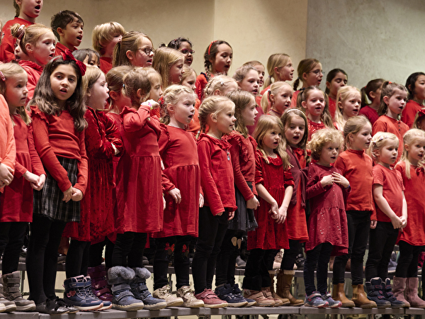 Adventskonzert Singschule 10.12.2023