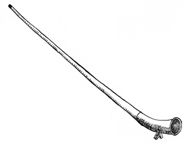Alphorn