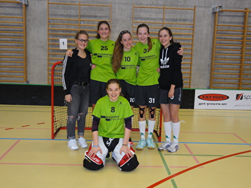 2016-02-03 Unihockeyturnier Wald