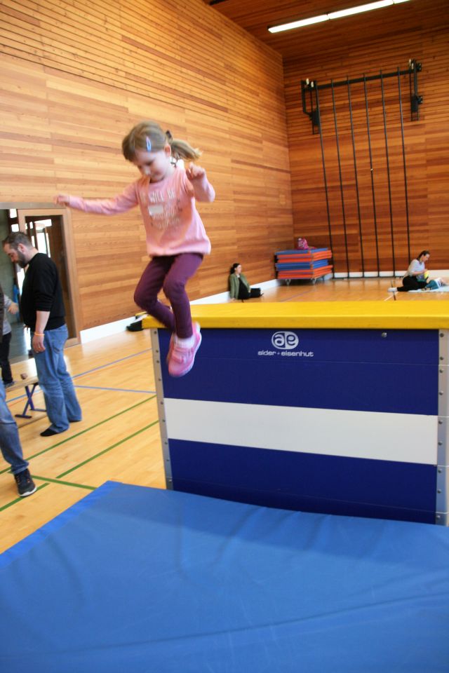 Vorschulmodul 2017