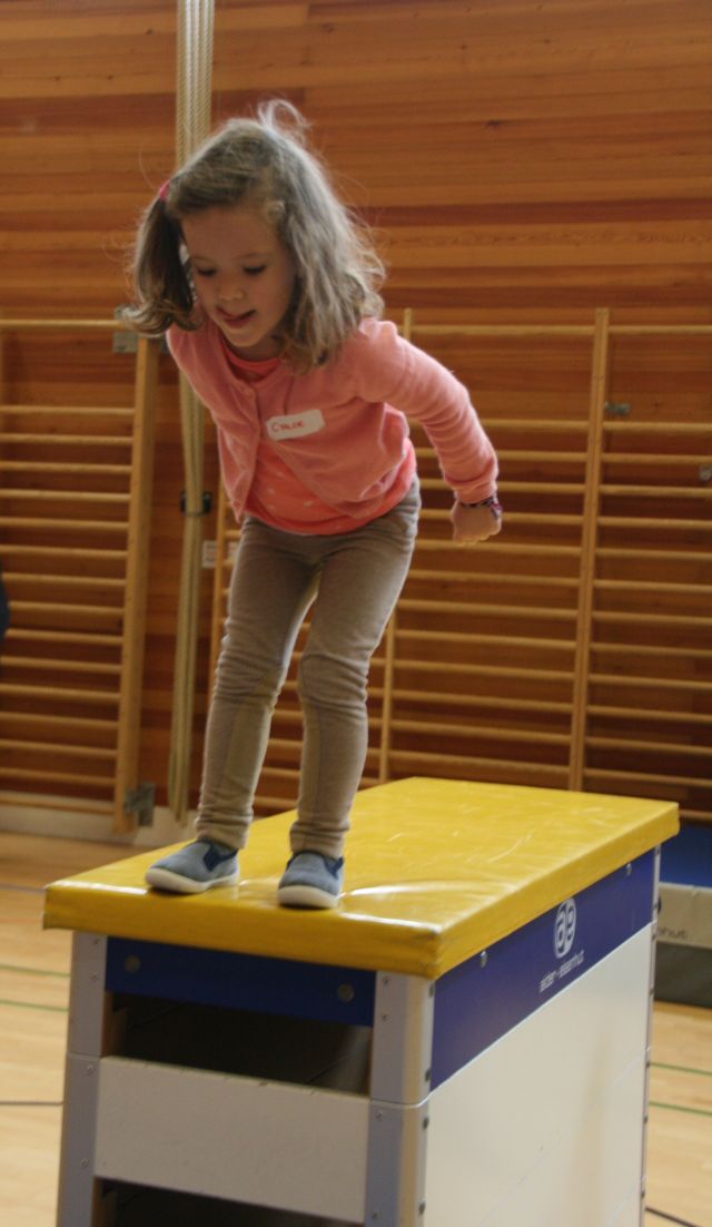 Vorschulmodul 2016