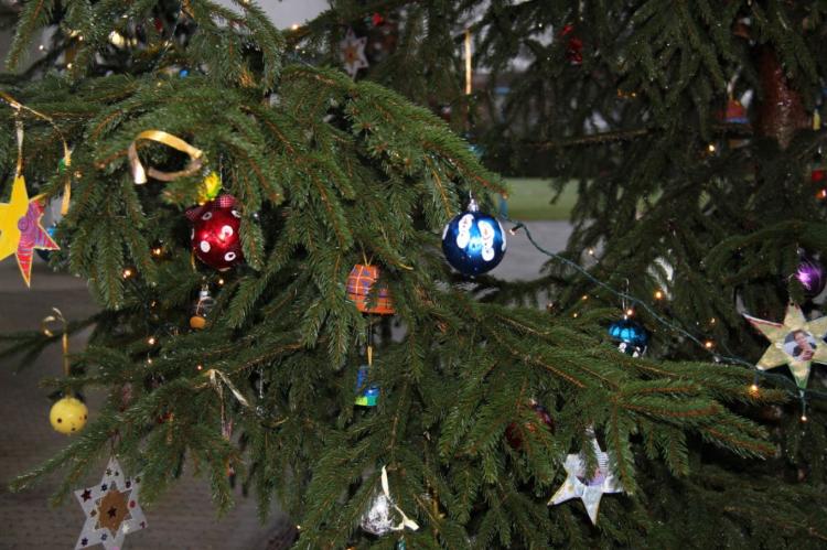 Rossacker - Weihnachtsbaum