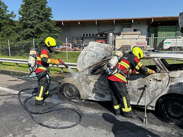 Fahrzeug gelöscht