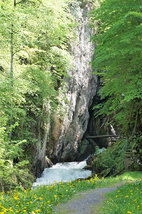 Murgbachschlucht