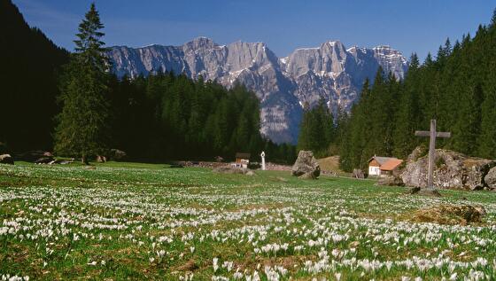 Murgtal, Merlen