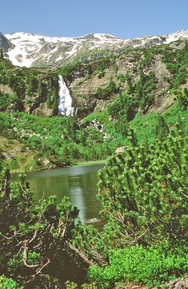 Arvenreservat unterer Murgsee