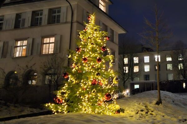 Weihnachtsbaum