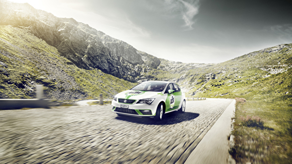 Die saubere Rallye