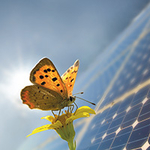 Kraftwerk Wädenswil für mehr Solarstrom